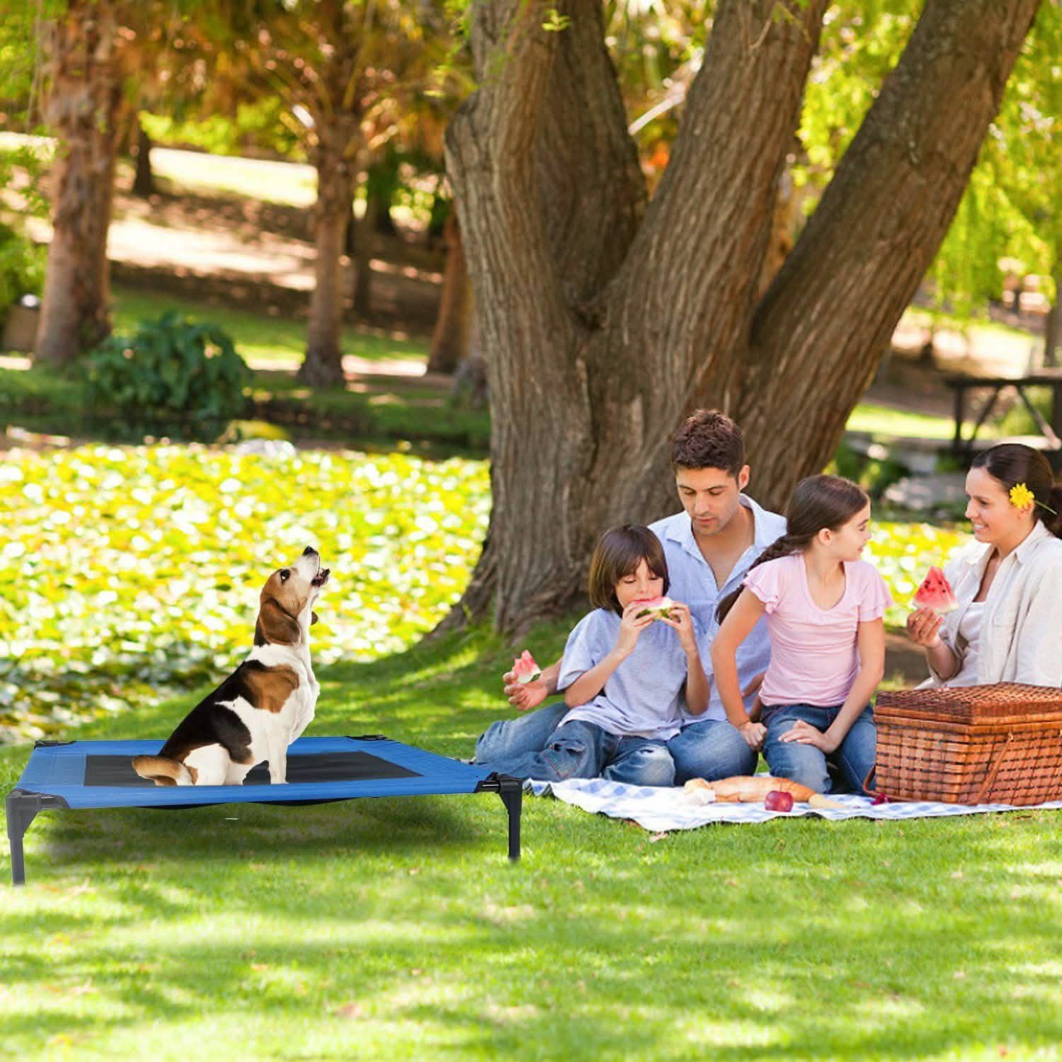 Elevated Dog Cot Bed Pet Supplies - Tophatter Daily Deals