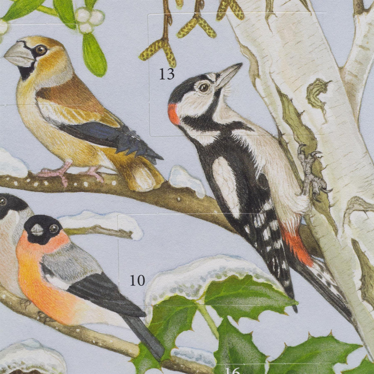 Birds in Winter Christmas Advent Calendar with Sound | Birdsong Advent Calendar Advent Calendar - Tophatter Daily Deals