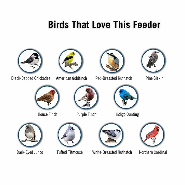Squirrel Proof Bird Feeder Heavy Duty Spinning Perch - Tophatter Daily Deals