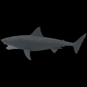JAWS - Mechanical Bruce the Shark Scaled Prop Replica Prop Replica - Tophatter Daily Deals