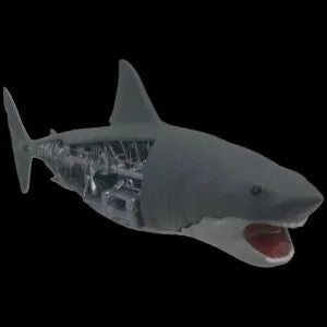 JAWS - Mechanical Bruce the Shark Scaled Prop Replica Prop Replica - Tophatter Daily Deals