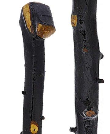 Irish Import: Genuine Blackthorn Stick with Thorn Bumps Irish Blackthorn Canes - Tophatter Daily Deals