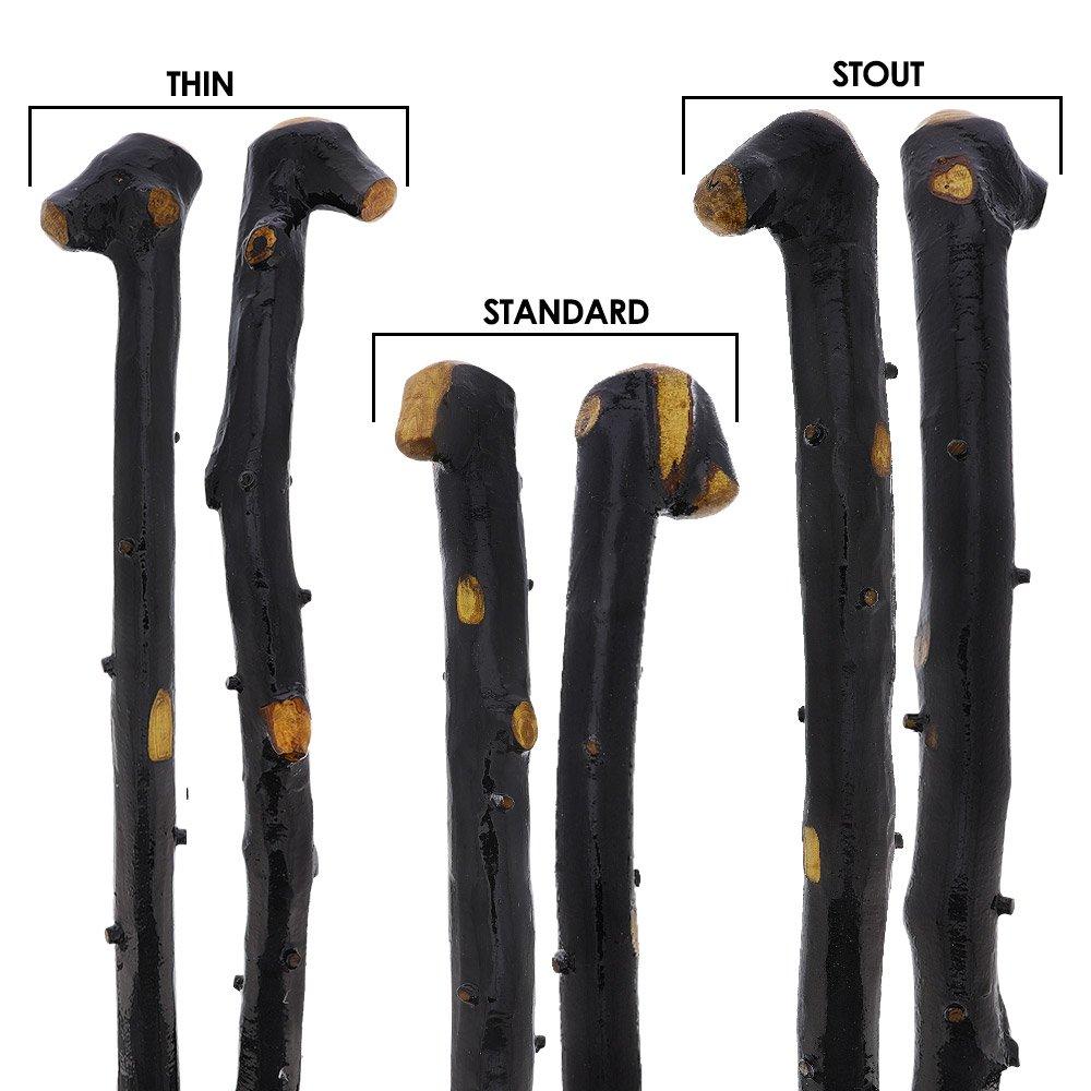 Irish Import: Genuine Blackthorn Stick with Thorn Bumps Irish Blackthorn Canes - Tophatter Daily Deals