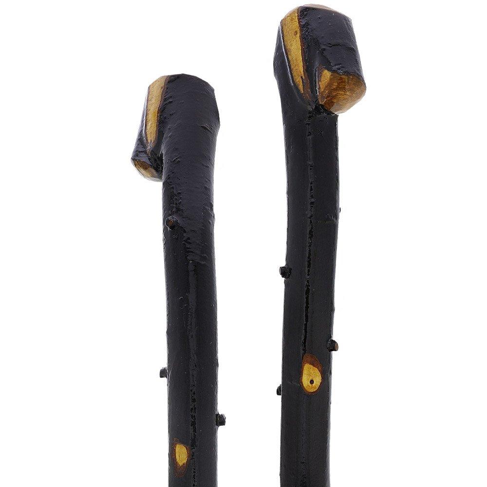 Irish Import: Genuine Blackthorn Stick with Thorn Bumps Irish Blackthorn Canes - Tophatter Daily Deals