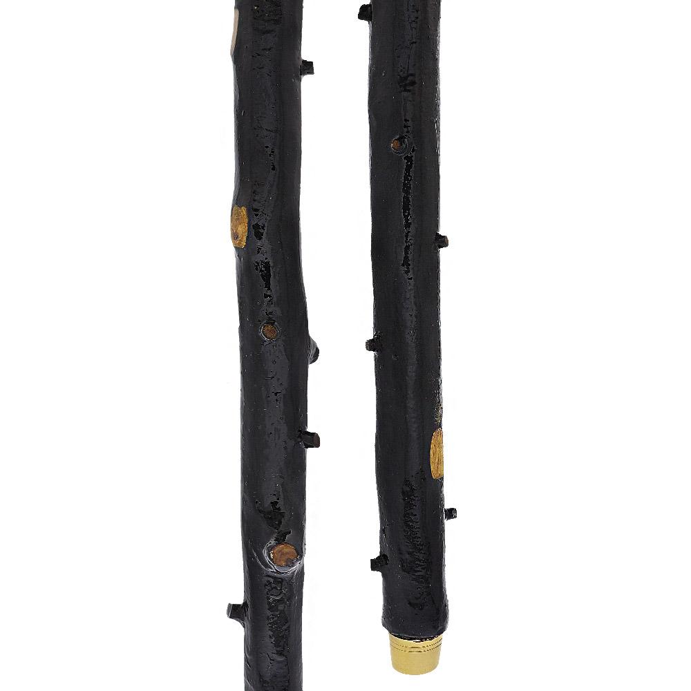 Irish Import: Genuine Blackthorn Stick with Thorn Bumps Irish Blackthorn Canes - Tophatter Daily Deals