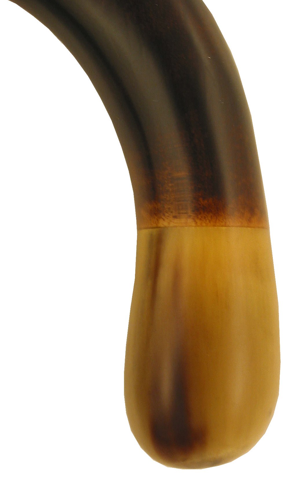 French Authentic: Blonde Horn Ball Cane with Dark Maple Tourist Handled Canes - Tophatter Daily Deals
