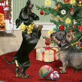 Traditional Christmas Advent Calendar | Dachshund Sausage Dog Advent Calendar | Christmas Puppy Picture Advent Calendar Advent Calendar - Tophatter Daily Deals