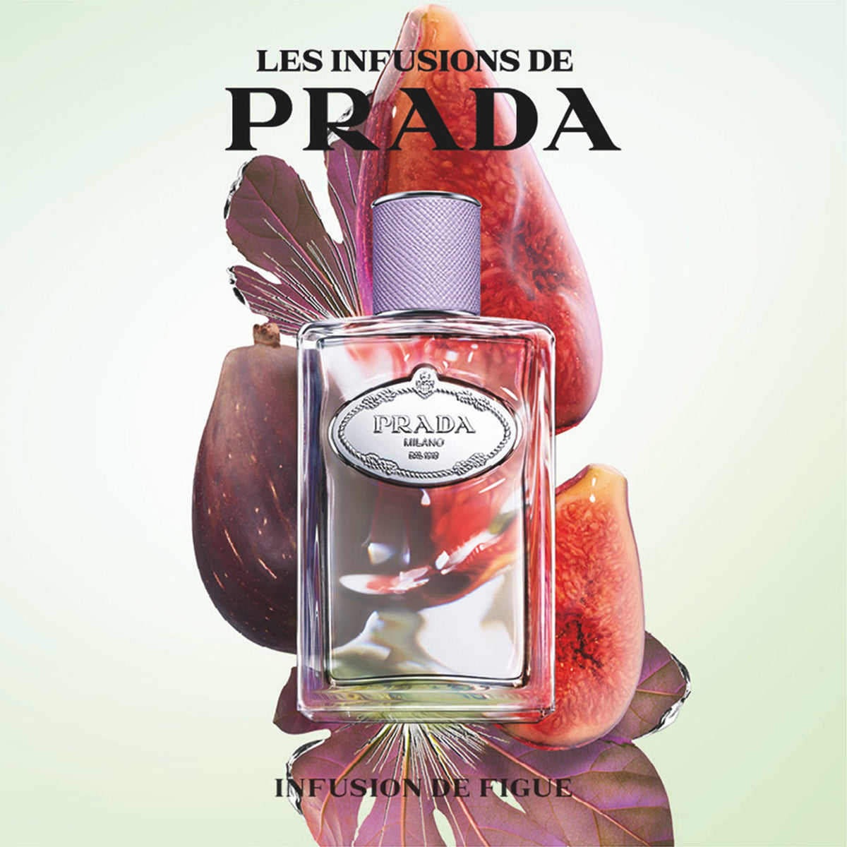 Prada Les Infusions de Figue Eau De Parfum 100ml Spray - Tophatter Daily Deals