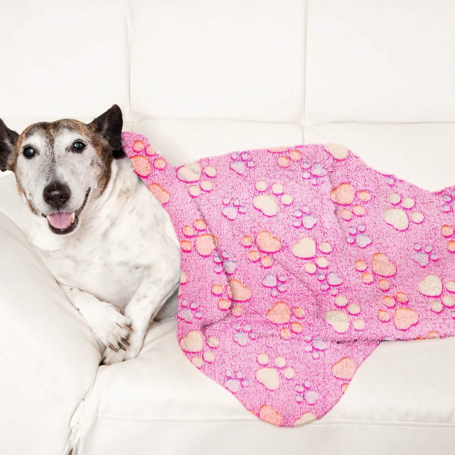 Fluffy Dog Cat Blanket Pet Supplies - Tophatter Daily Deals