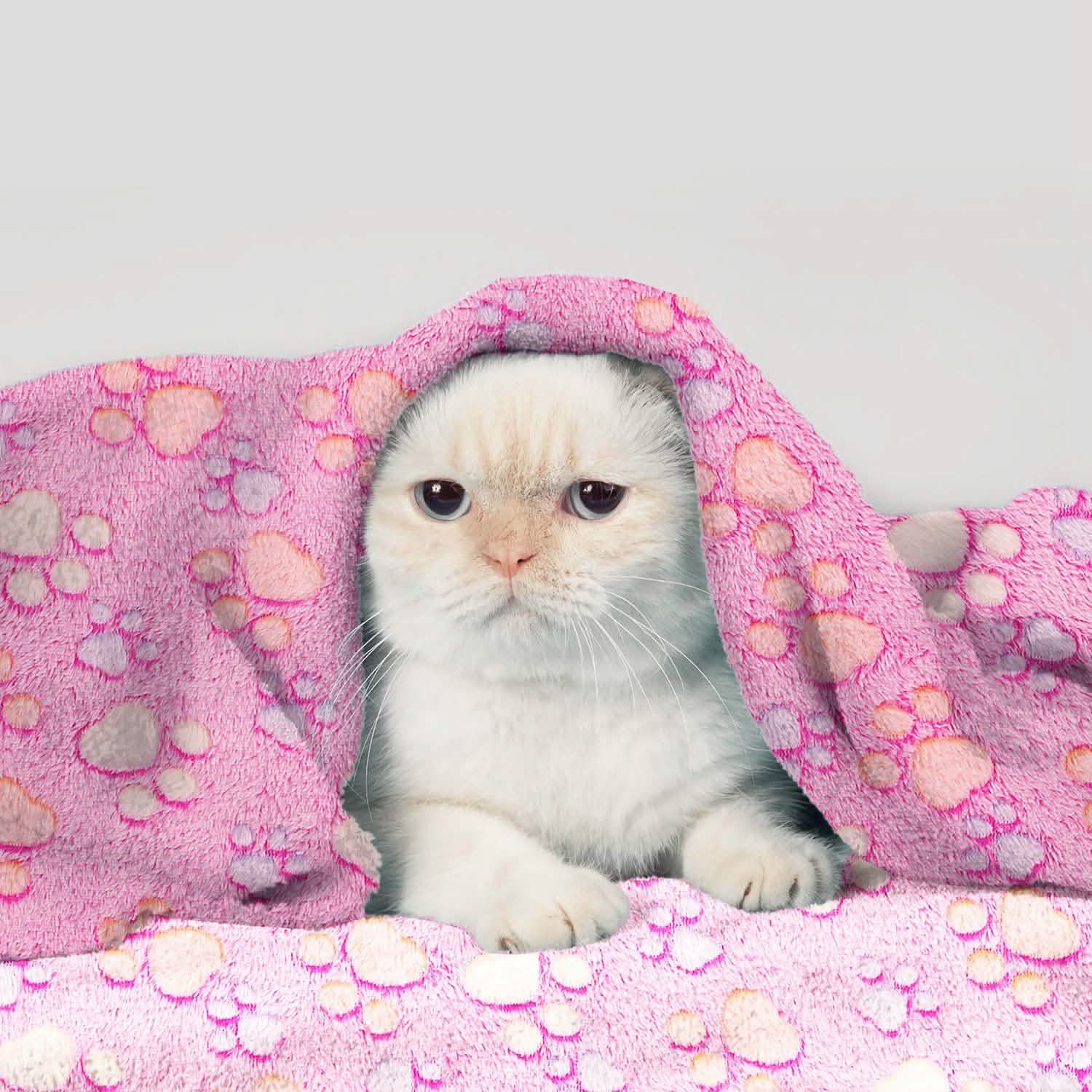 Fluffy Dog Cat Blanket Pet Supplies - Tophatter Daily Deals