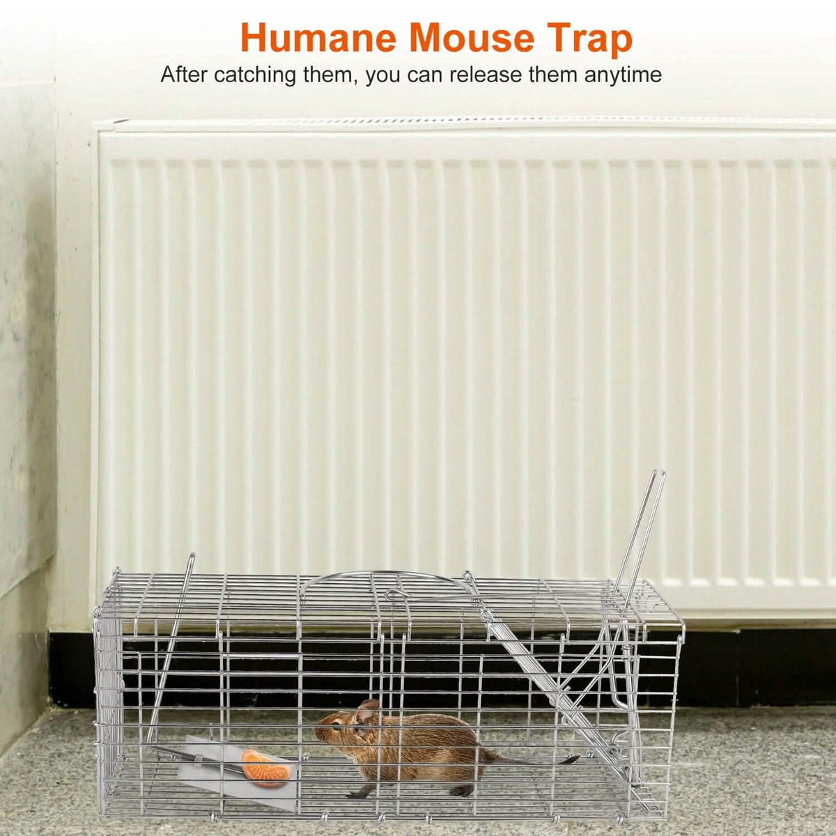 Foldable Rat Trap Cage Humane Live Rodent Trap Cage Pest Control - Tophatter Daily Deals