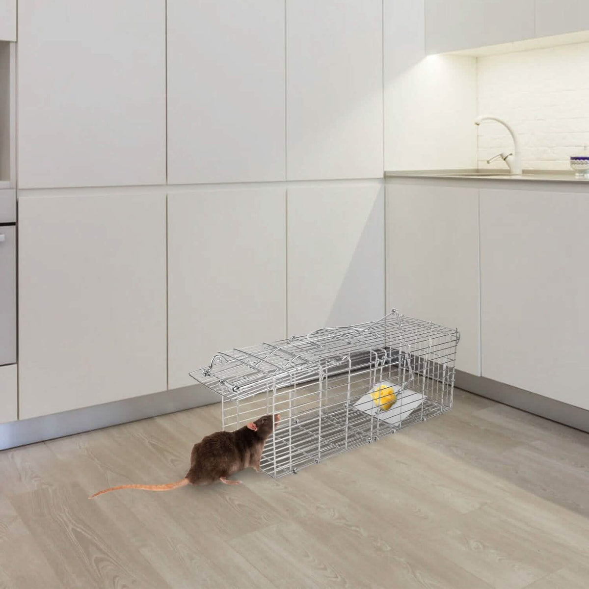 Foldable Rat Trap Cage Humane Live Rodent Trap Cage Pest Control - Tophatter Daily Deals