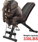 Foldable Sit Up Bench - Adjustable Sit Up Weight Bench Foldable Strength Training Gym Exercise & Fitness - Tophatter Daily Deals