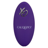 Lock-N-Play Remote Pulsating Panty Teaser Wireless Silicone Vibrator with Mini Remote Control in Purple > Sex Toys For Ladies > Panty Vibes - Tophatter Daily Deals