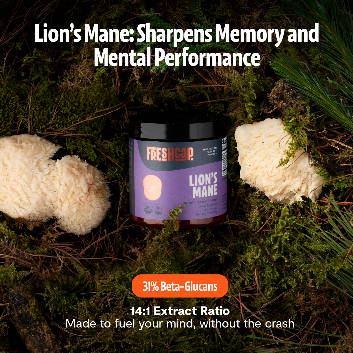 Organic Mushroom Complex Supplement Capsules Health & Wellness - Tophatter Daily Deals
