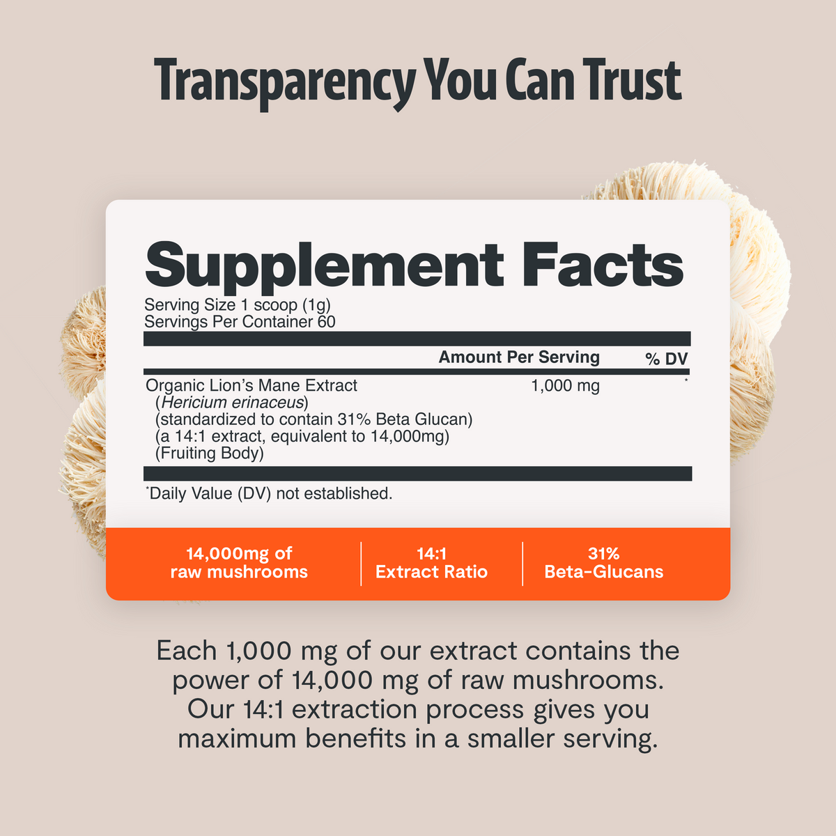 Organic Mushroom Complex Supplement Capsules Health & Wellness - Tophatter Daily Deals