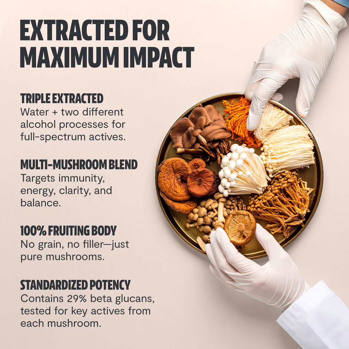 Organic Mushroom Complex Supplement Capsules Health & Wellness - Tophatter Daily Deals