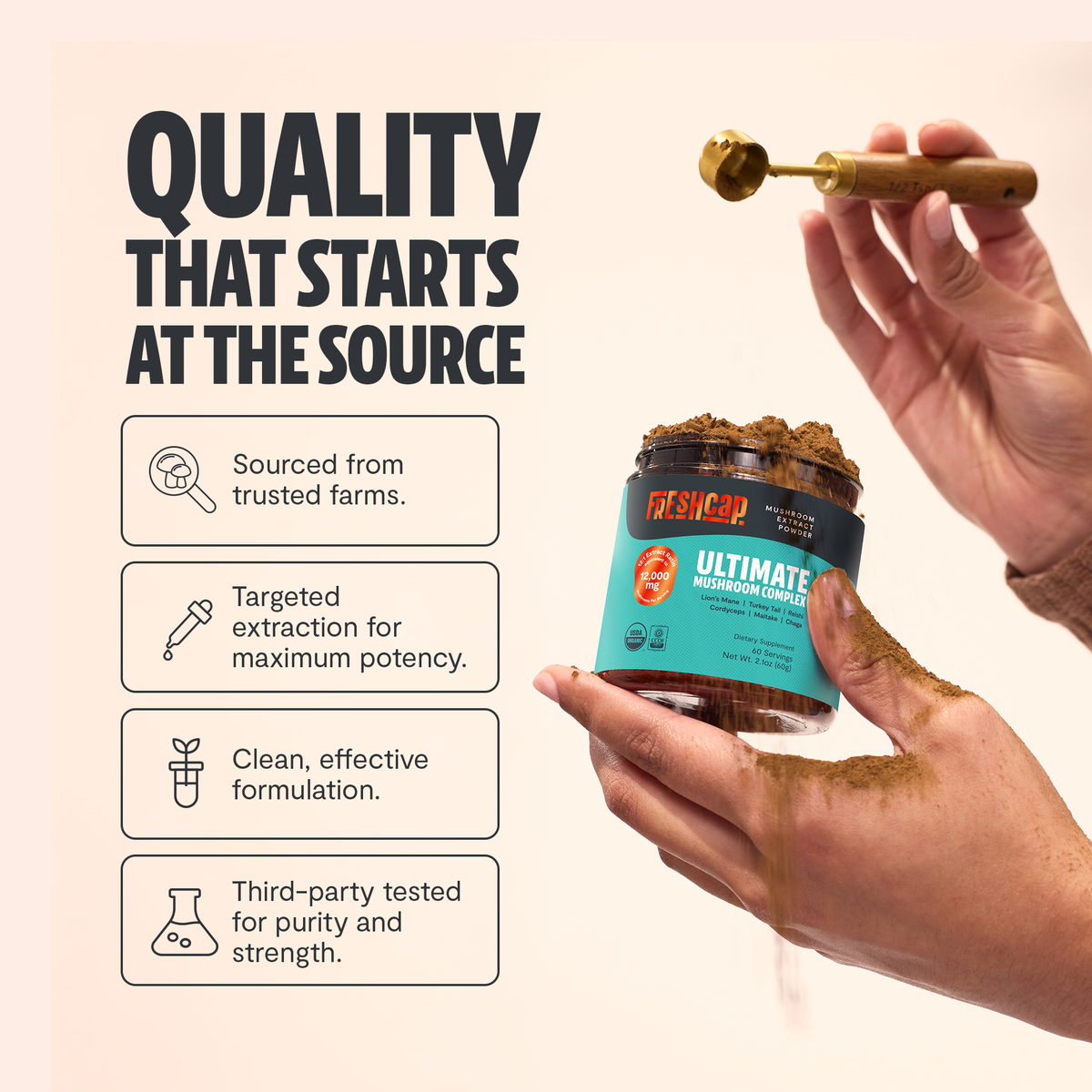 Organic Mushroom Extract Powder Blend Health & Wellness - Tophatter Daily Deals