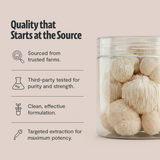 Organic Mushroom Complex Supplement Capsules Health & Wellness - Tophatter Daily Deals