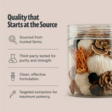 Organic Mushroom Extract Powder Blend Health & Wellness - Tophatter Daily Deals