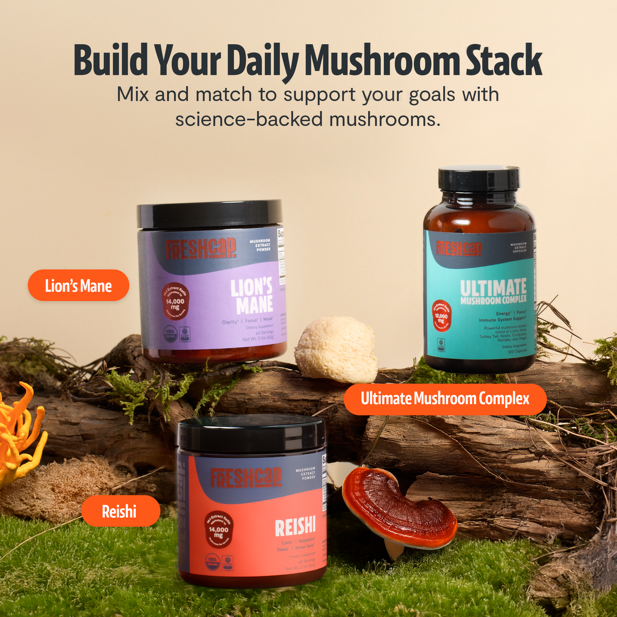 Organic Mushroom Complex Supplement Capsules Health & Wellness - Tophatter Daily Deals