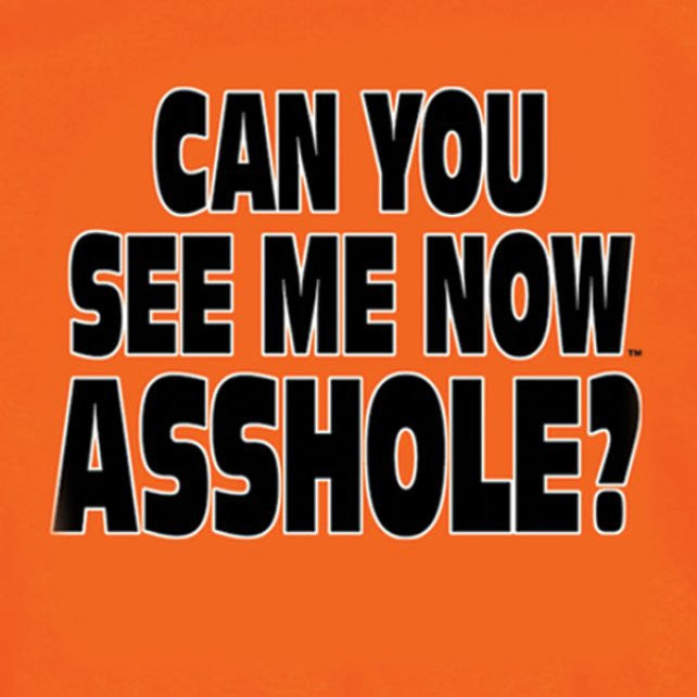 Hot Leathers Can You See Me Now A**HOLE T-Shirt Safety Orange Hi-Vis Mens Short Sleeve - Tophatter Daily Deals