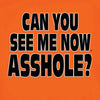 Hot Leathers Can You See Me Now A**HOLE T-Shirt Safety Orange Hi-Vis Mens Short Sleeve - Tophatter Daily Deals