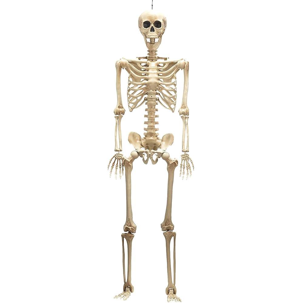 Halloween Decor Skeleton - 170cm Halloween Poseable Human Skeleton Full Life Size Party Decoration Festive & Franchise - Tophatter Daily Deals