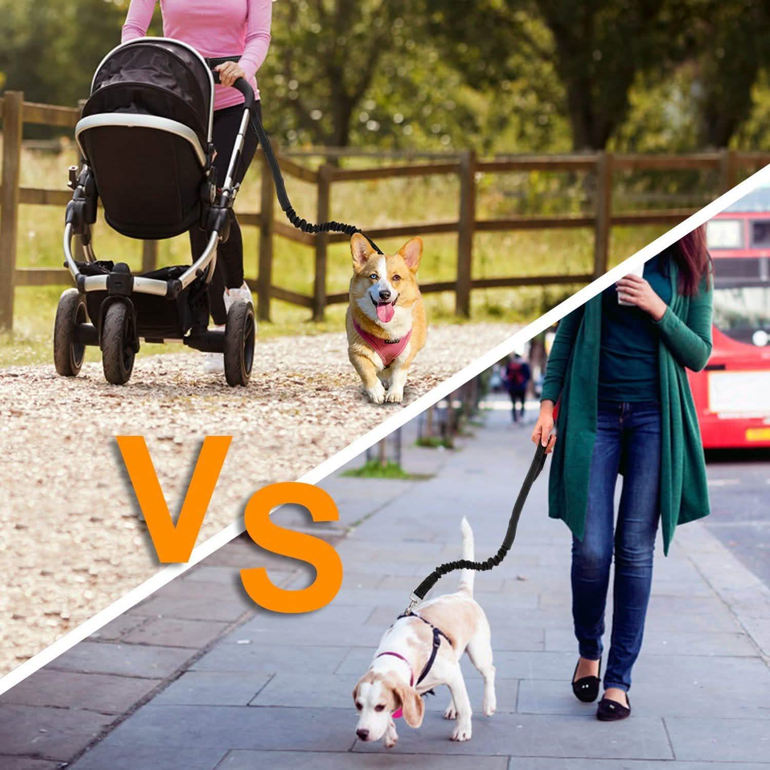 Hands Free Dogs Leash Waist Belt Pet Supplies - Tophatter Daily Deals