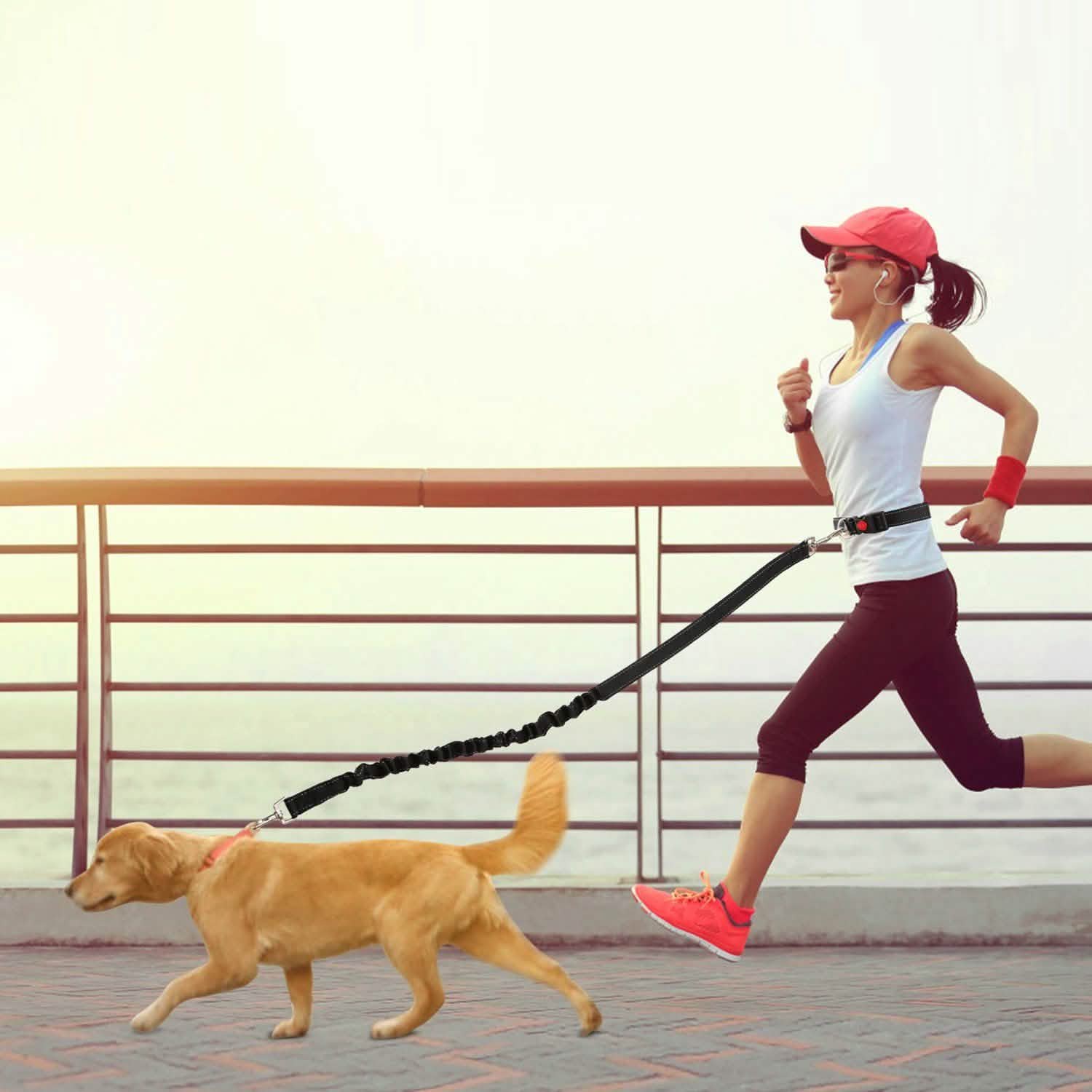 Hands Free Dogs Leash Waist Belt Pet Supplies - Tophatter Daily Deals