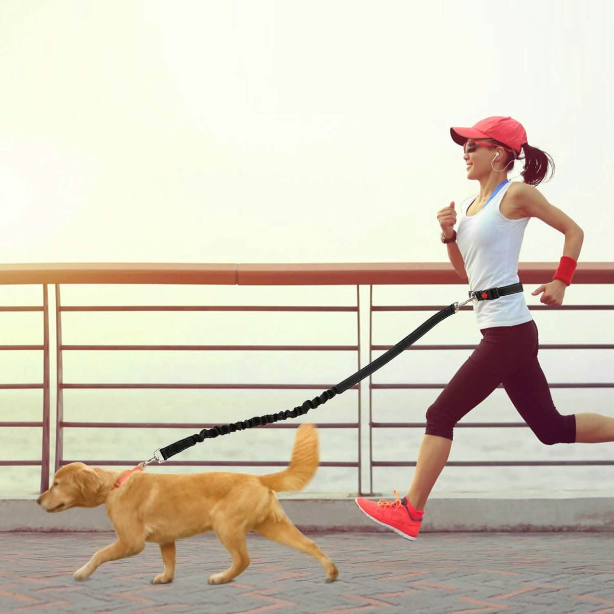 Hands Free Dogs Leash Waist Belt Pet Supplies - Tophatter Daily Deals