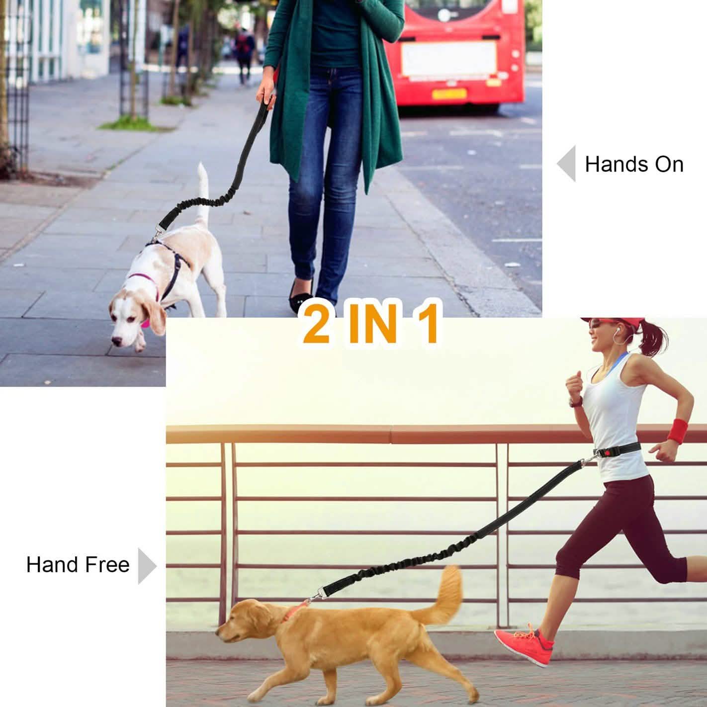 Hands Free Dogs Leash Waist Belt Pet Supplies - Tophatter Daily Deals