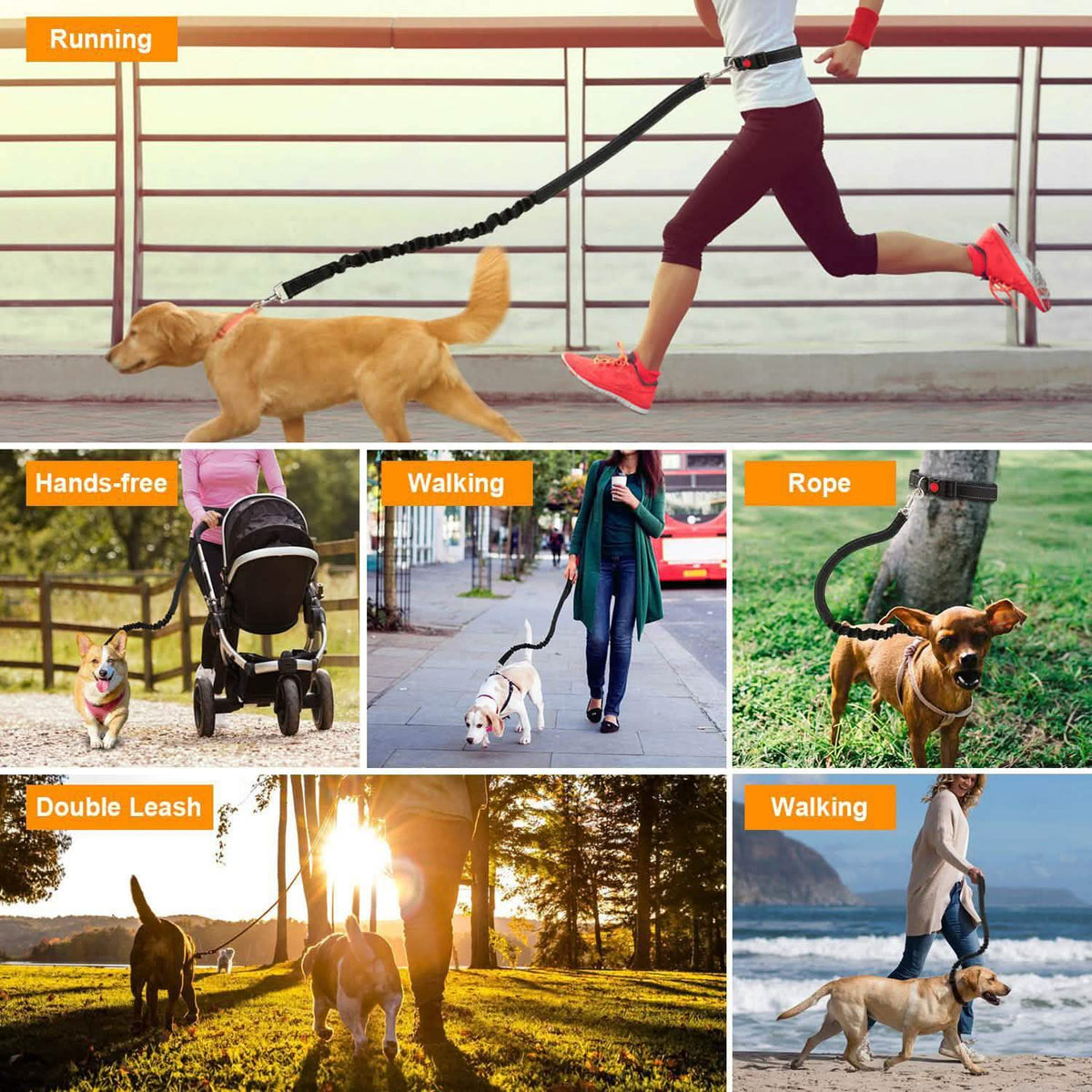 Hands Free Dogs Leash Waist Belt Pet Supplies - Tophatter Daily Deals