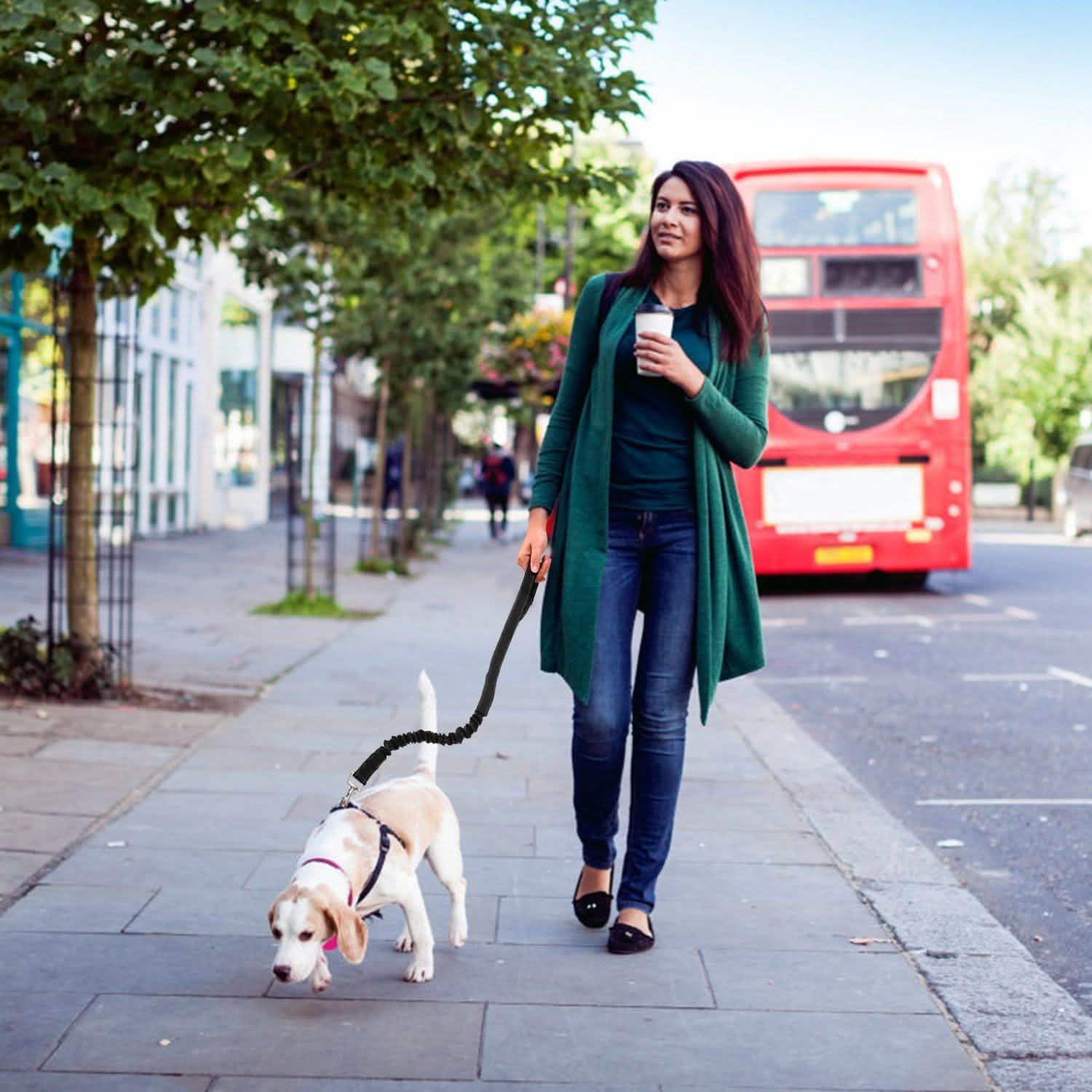 Hands Free Dogs Leash Waist Belt Pet Supplies - Tophatter Daily Deals