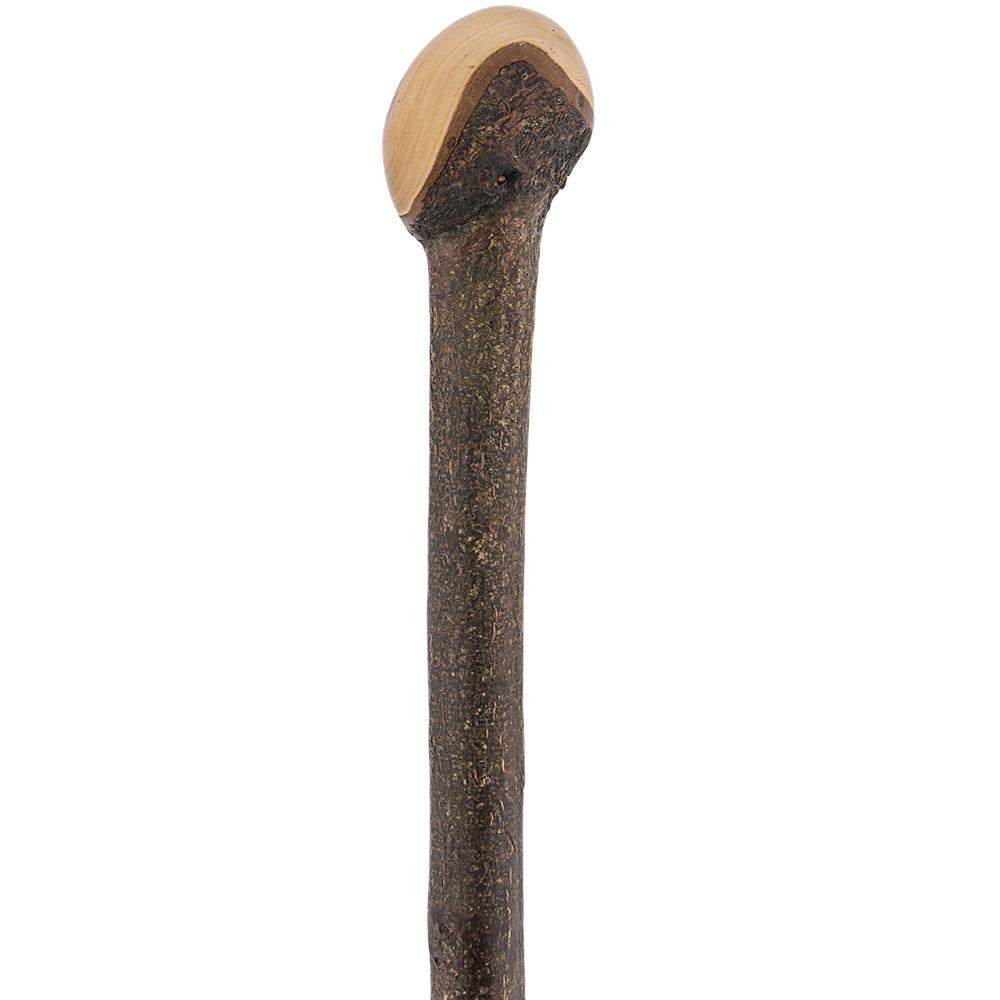 Authentic Blackthorn Shillelagh: Fighting Stick Limited Supply Irish Blackthorn Canes - Tophatter Daily Deals