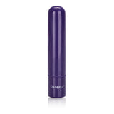 Tiny Teasers Bullet Vibrator Purple Compact Multi-Speed Waterproof > Vibrators > Mini Vibrators - Tophatter Daily Deals
