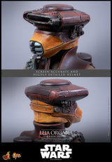 Star Wars - Return Of The Jedi Hot Toys 1/6 Leia Organa (Boushh Disguise) Other Collectibles - Tophatter Daily Deals