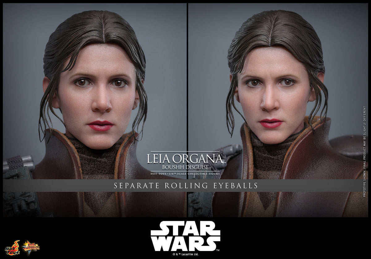 Star Wars - Return Of The Jedi Hot Toys 1/6 Leia Organa (Boushh Disguise) Other Collectibles - Tophatter Daily Deals