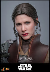 Star Wars - Return Of The Jedi Hot Toys 1/6 Leia Organa (Boushh Disguise) Other Collectibles - Tophatter Daily Deals