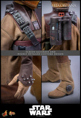 Star Wars - Return Of The Jedi Hot Toys 1/6 Leia Organa (Boushh Disguise) Other Collectibles - Tophatter Daily Deals