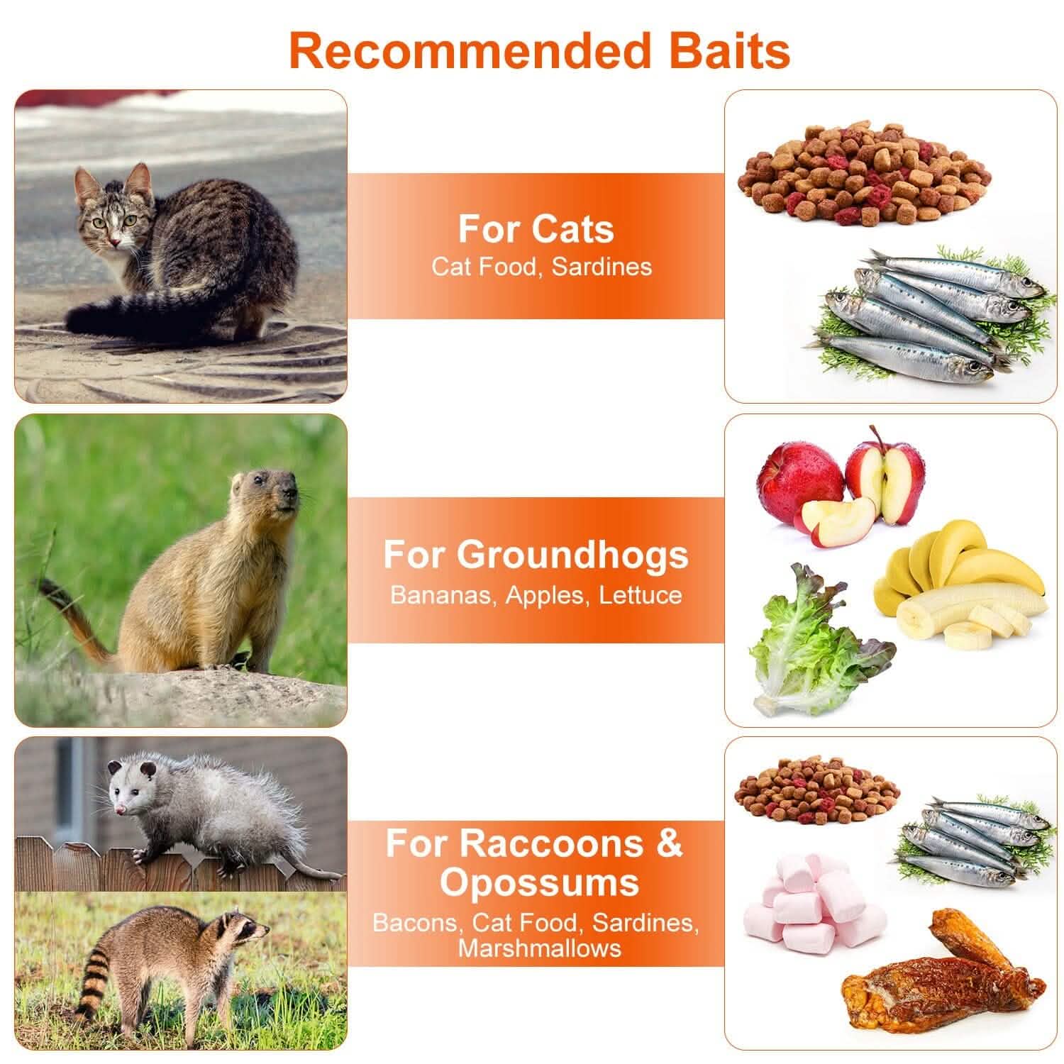 Humane Catch Release Live Animal Collapsible Galvanized Wire Trap Cage Pest Control - Tophatter Daily Deals