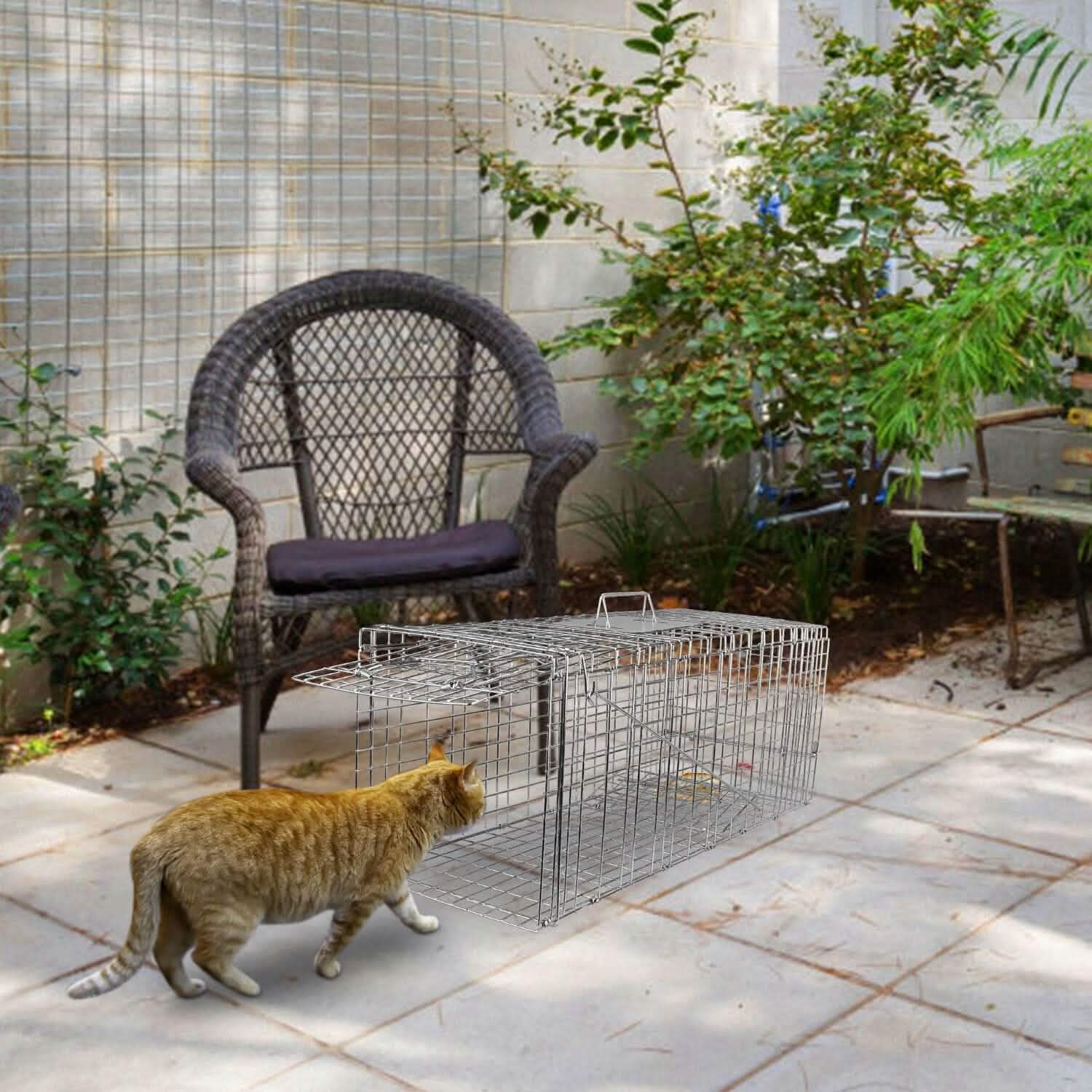 Humane Catch Release Live Animal Collapsible Galvanized Wire Trap Cage Pest Control - Tophatter Daily Deals