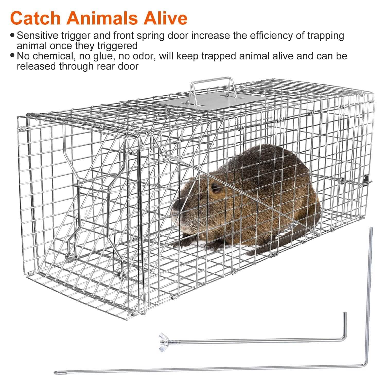 Humane Catch Release Live Animal Collapsible Galvanized Wire Trap Cage Pest Control - Tophatter Daily Deals