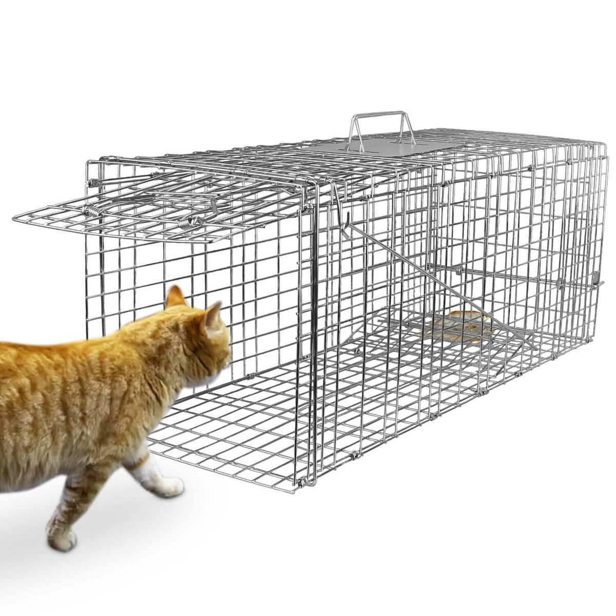 Humane Catch Release Live Animal Collapsible Galvanized Wire Trap Cage Pest Control - Tophatter Daily Deals