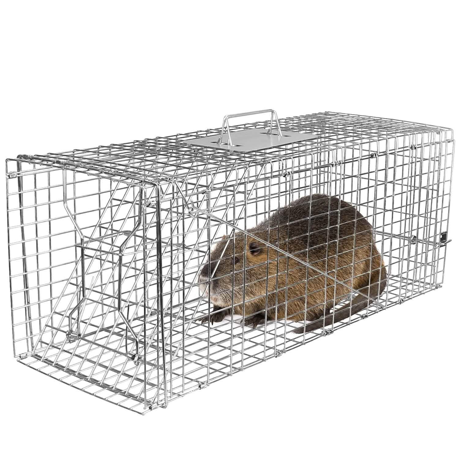 Humane Catch Release Live Animal Collapsible Galvanized Wire Trap Cage Pest Control - Tophatter Daily Deals