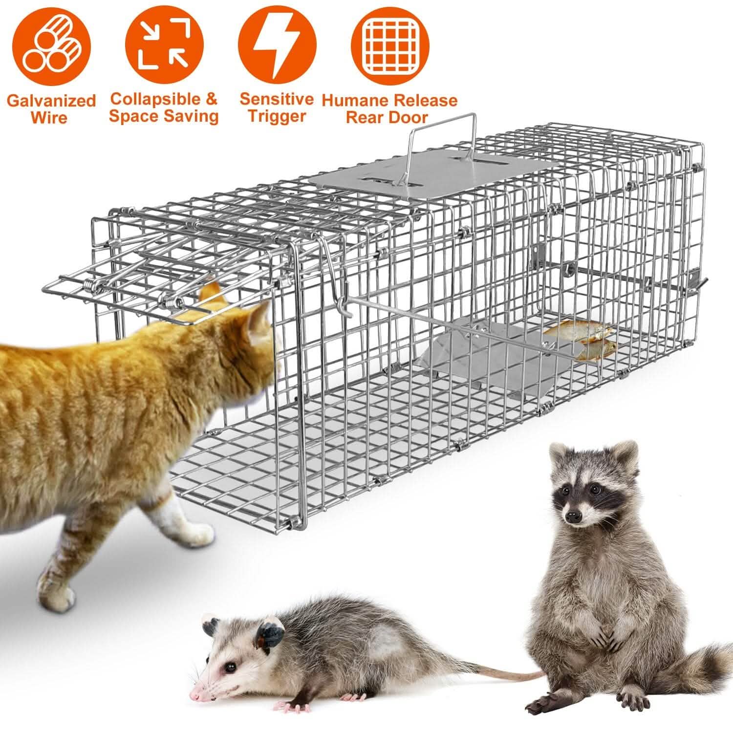 Humane Live Animal Rodent Cage Collapsible Galvanized Wire Pest Control - Tophatter Daily Deals