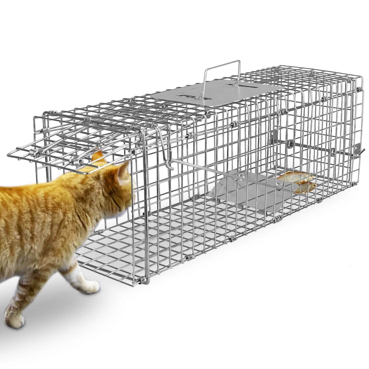 Humane Live Animal Rodent Cage Collapsible Galvanized Wire Pest Control - Tophatter Daily Deals