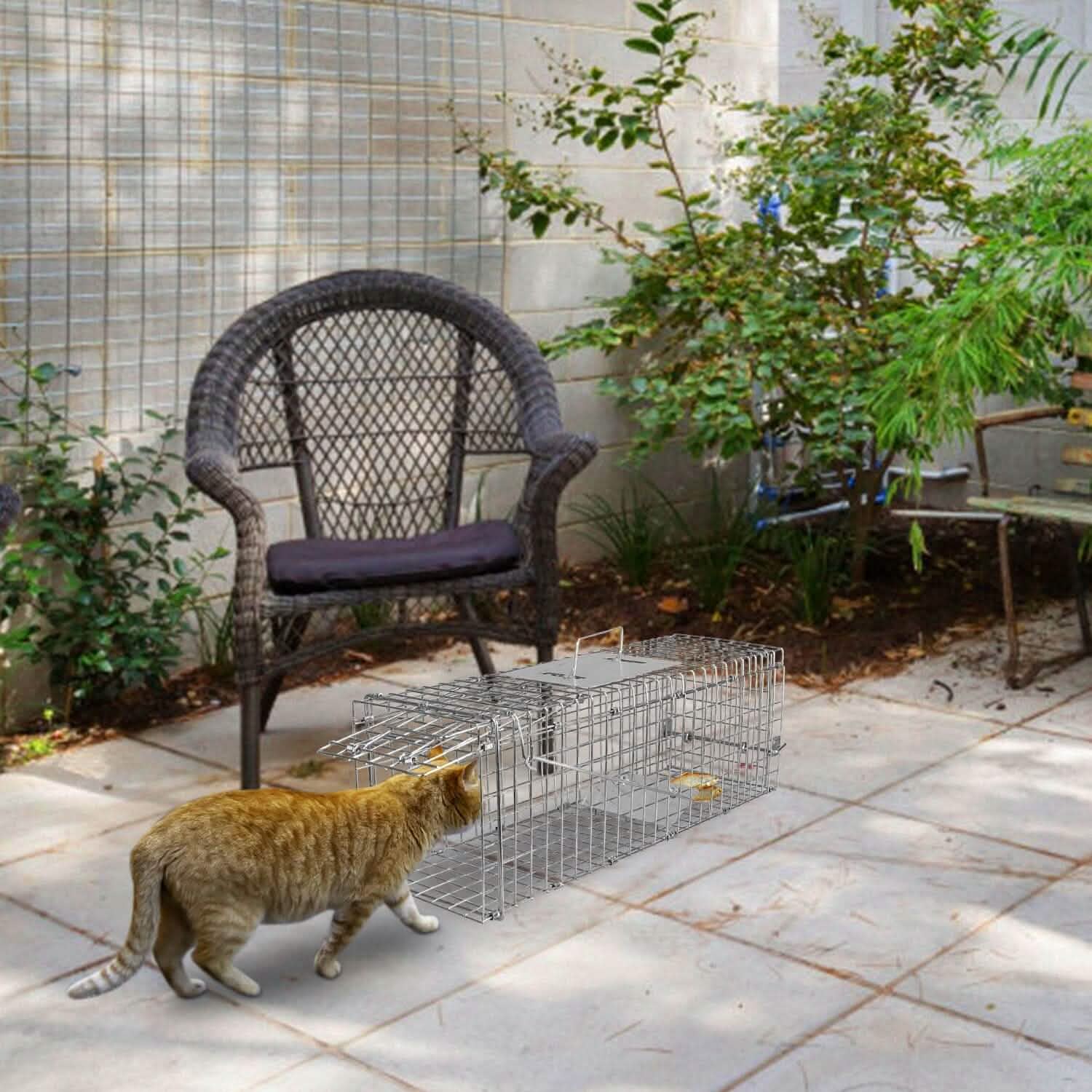 Humane Live Animal Rodent Cage Collapsible Galvanized Wire Pest Control - Tophatter Daily Deals