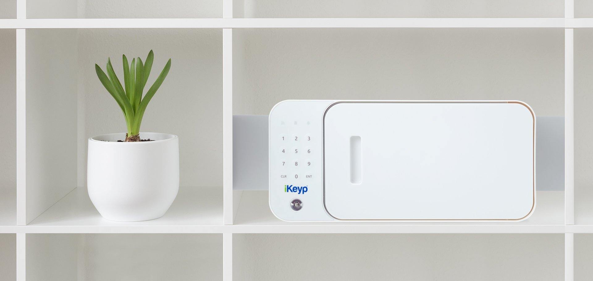 Pro Safe Safe - Tophatter Daily Deals