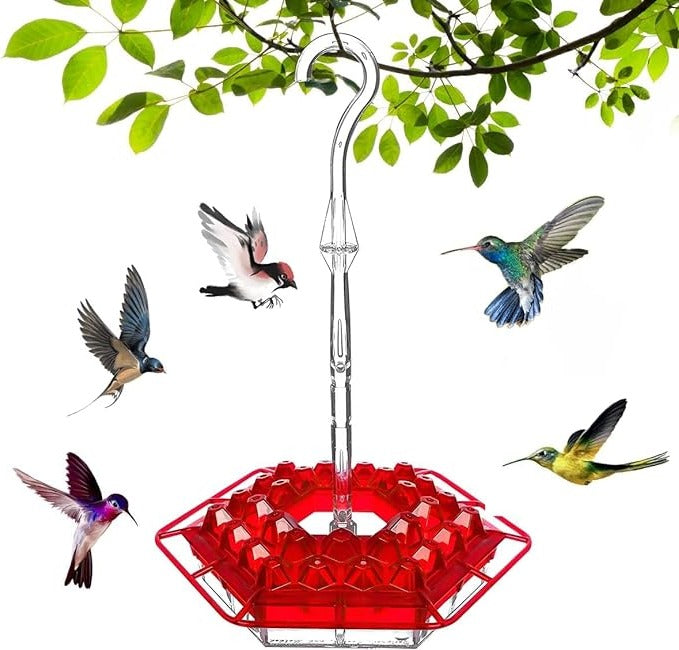 Hummingbird Feeder Ant Proof Outdoor Hanging Easy Perch - Tophatter Daily Deals